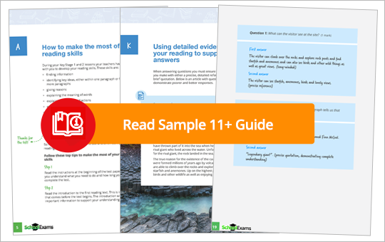 11+ Sample Guide