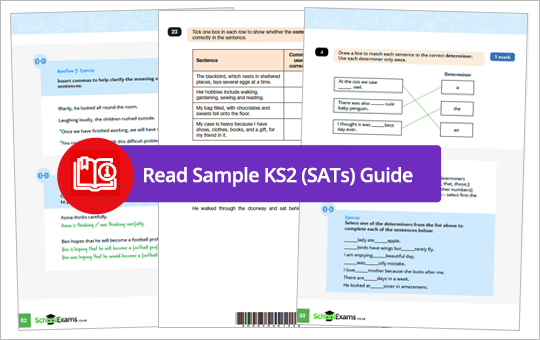 KS2 Sample Guide