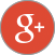 Google Plus Logo